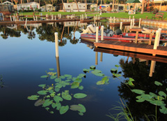 Docks at The Harbor Waterfront Resort